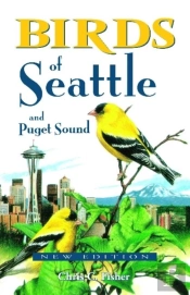 Birds Of Seattle