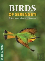 Birds Of Serengeti & Ngorongoro Conservation Area