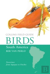 Birds Of South America
