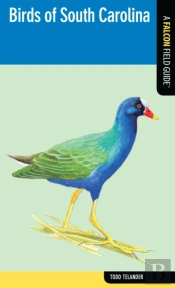 Birds Of South Carolina