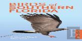 Birds Of Southern Florida