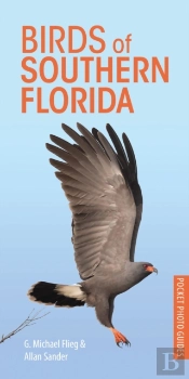 Birds Of Southern Florida