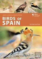 Birds Of Spain