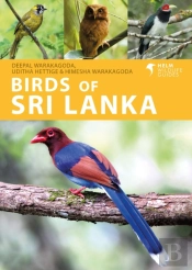 Birds Of Sri Lanka