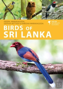 Bertrand.pt - Birds Of Sri Lanka