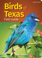 Birds Of Texas Field Guide
