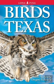 Birds Of Texas