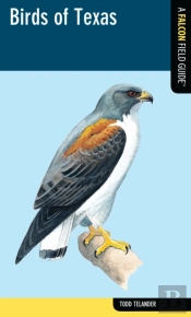 Birds Of Texas