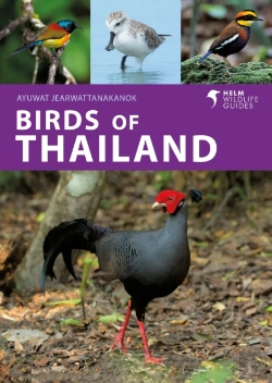 Bertrand.pt - Birds Of Thailand