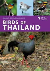 Birds Of Thailand