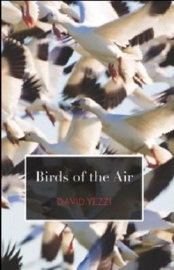 Bertrand.pt - Birds Of The Air