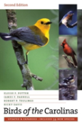 Birds Of The Carolinas