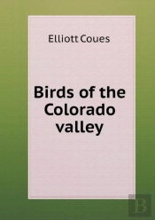Birds Of The Colorado Valley