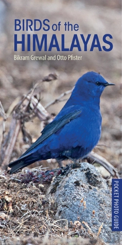 Bertrand.pt - Birds Of The Himalayas