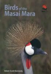 Birds Of The Masai Mara