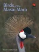 Birds Of The Masai Mara