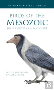 Birds Of The Mesozoic