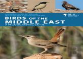 Birds Of The Middle East