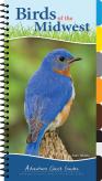 Birds Of The Midwest