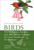 Birds Of The Philippines