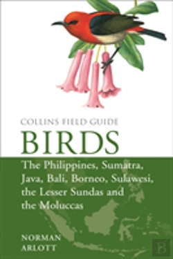Bertrand.pt - Birds Of The Philippines