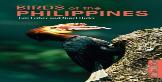 Birds Of The Philippines