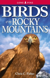 Birds Of The Rocky Mountains