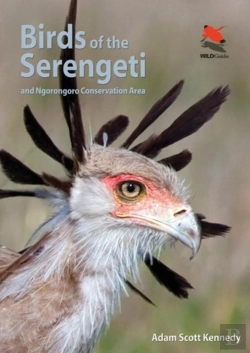 Bertrand.pt - Birds Of The Serengeti