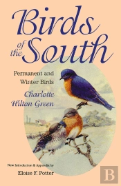 Birds Of The South