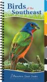 Birds Of The Southeast