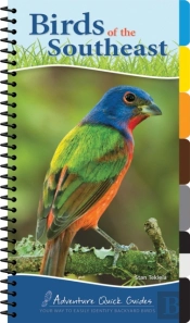 Birds Of The Southeast