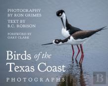 Birds Of The Texas Coast