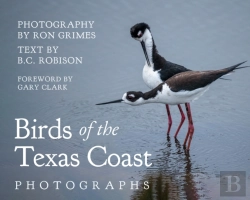 Bertrand.pt - Birds Of The Texas Coast