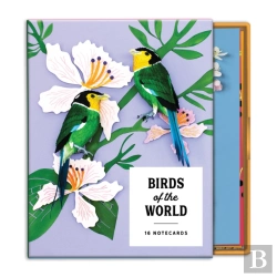 Bertrand.pt - Birds Of The World Greeting Card Assortment