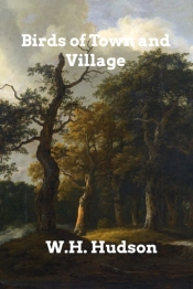 Birds Of Town And Village