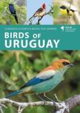 Birds Of Uruguay