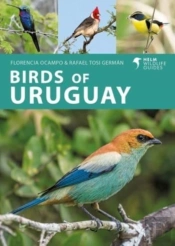 Birds Of Uruguay