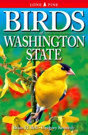 Birds Of Washington State