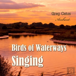 Bertrand.pt - Birds Of Waterways Singing