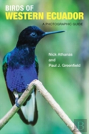 Birds Of Western Ecuador