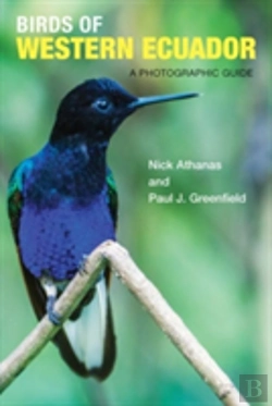 Bertrand.pt - Birds Of Western Ecuador