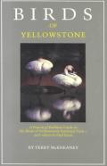Birds Of Yellowstone