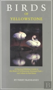 Birds Of Yellowstone
