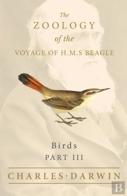 Bertrand.pt - Birds - Part Iii - The Zoology Of The Voyage Of H.M.S Beagle
