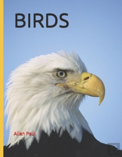Bertrand.pt - Birds
