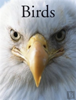 Bertrand.pt - Birds