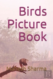 Birds Picture Book
