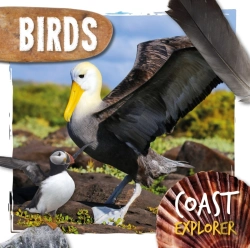 Bertrand.pt - Birds