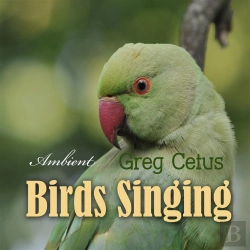 Bertrand.pt - Birds Singing