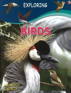 Bertrand.pt - Birds